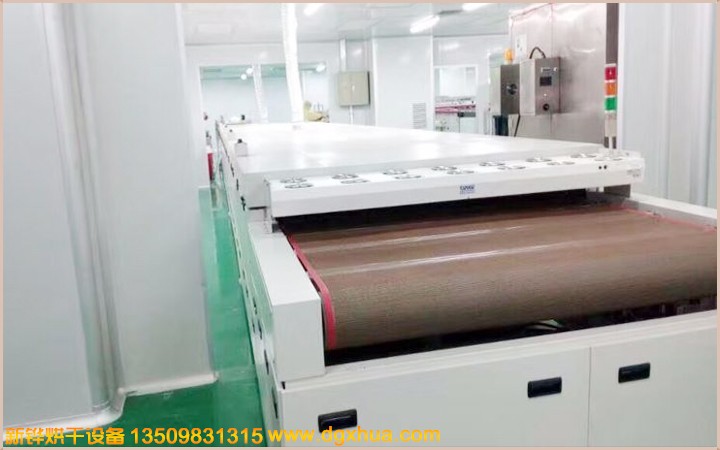 TPpg电子无尘隧道炉